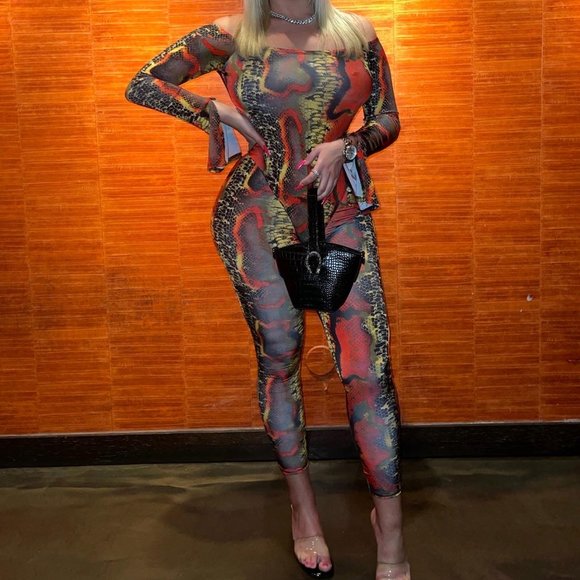 Two Piece Snakeskin Top/Bodysuit & Bottom/Pant Set. Very stretchy. Size Large - Picture 1 of 5